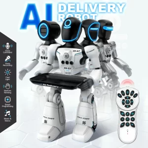 Voice & Gesture Robot with Recording – 30–50m Range, Programmable