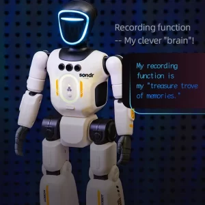 R040 Humanoid Robot – Voice & Gesture Control, Articulated Joints