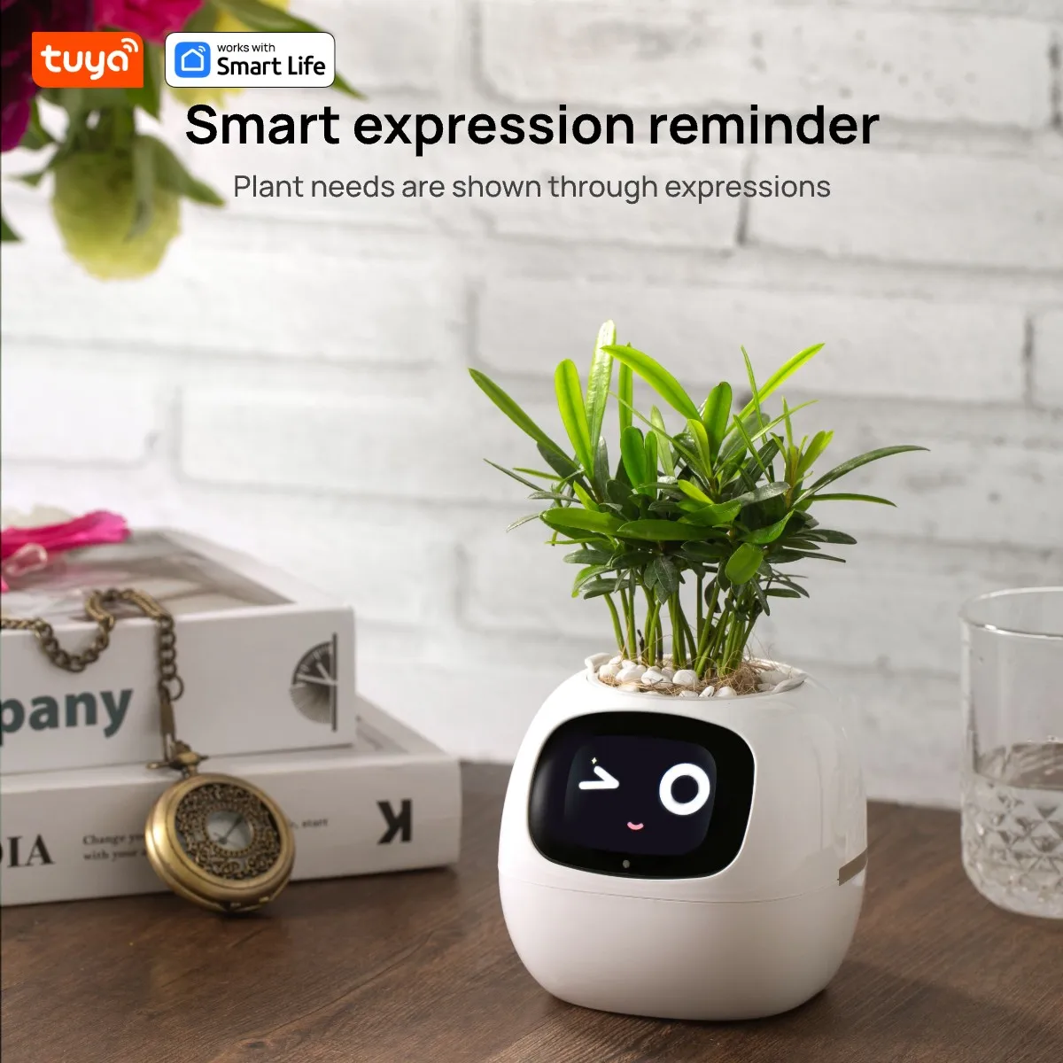 Tuya Ivy Smart Plant Pot – AI Plant Face with Water Alerts – image 4