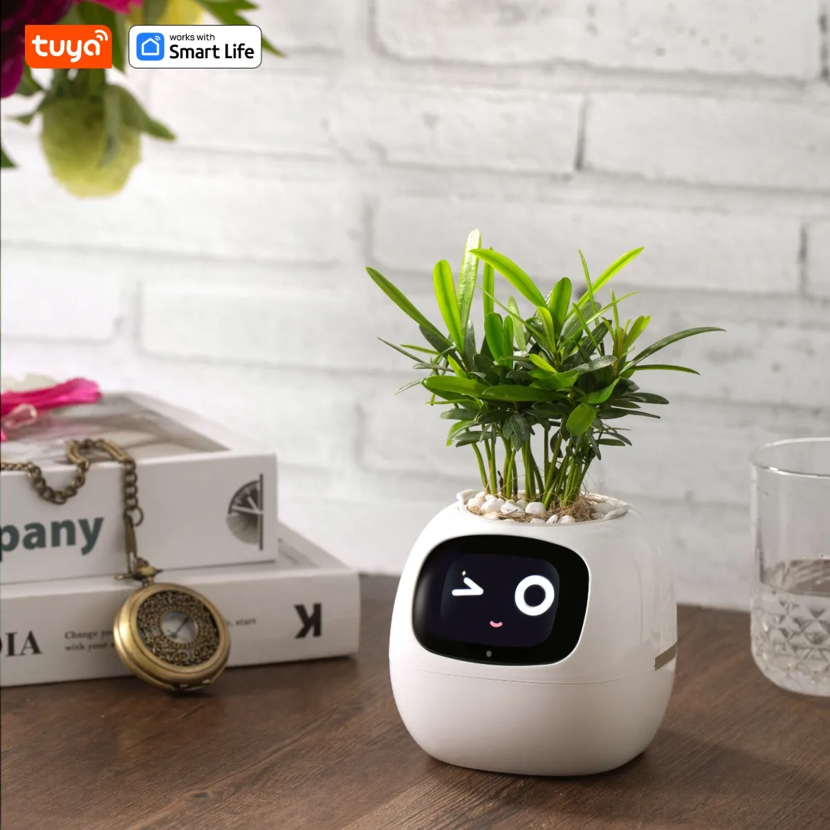 Tuya Ivy Smart Plant Pot – AI Plant Face with Water Alerts – image 6